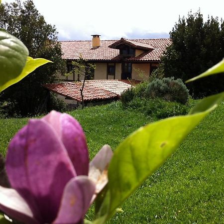 Apikale Konuk evi Ea Dış mekan fotoğraf