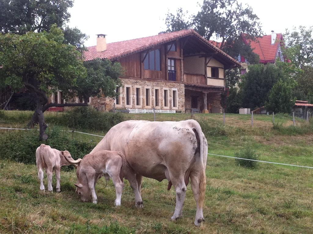 Apikale Konuk evi Ea Dış mekan fotoğraf