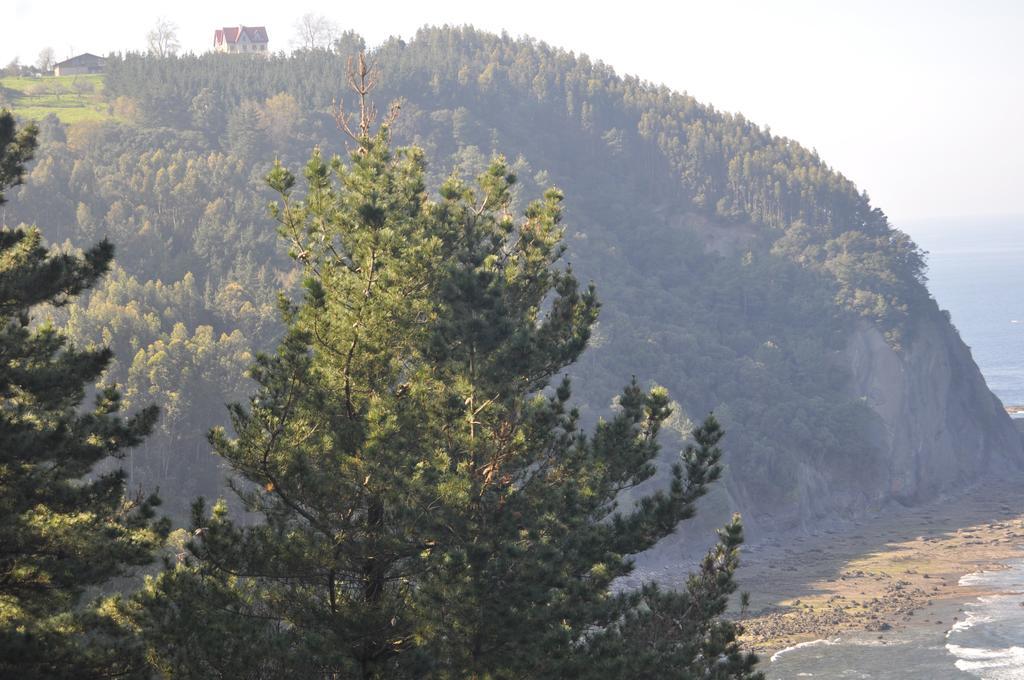 Apikale Konuk evi Ea Dış mekan fotoğraf