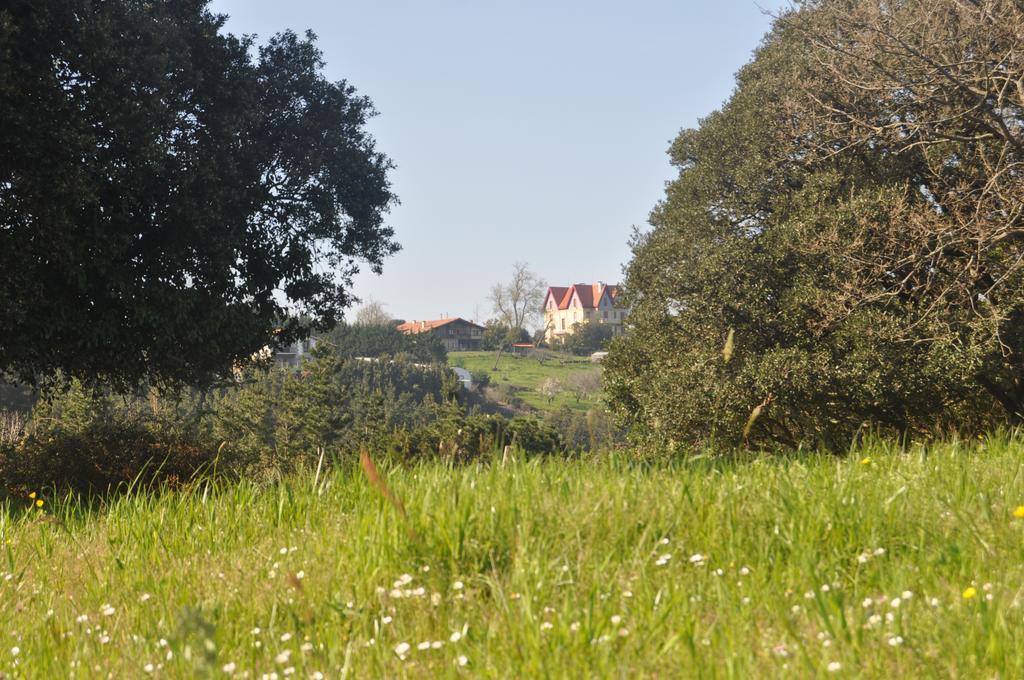 Apikale Konuk evi Ea Dış mekan fotoğraf